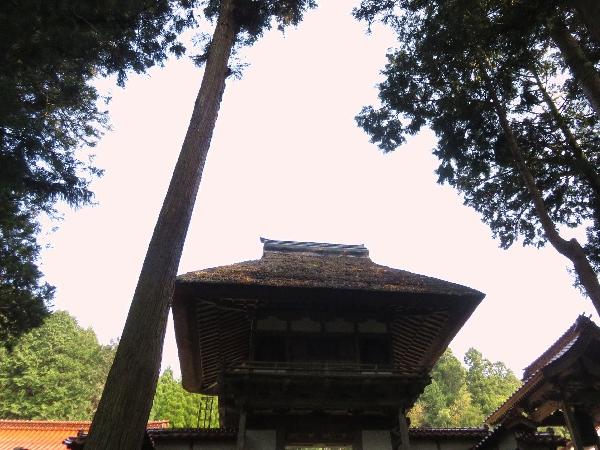 光徳寺6.jpg