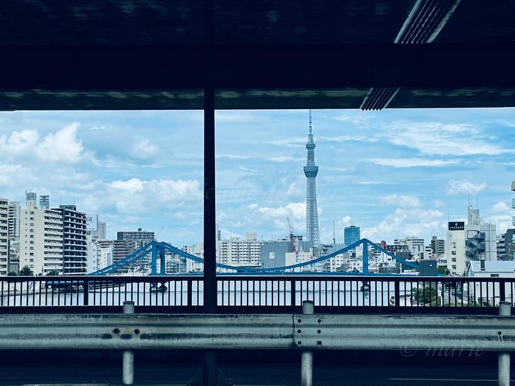 スカイツリーや永代橋も 隅田川大橋 から見る水辺の風景 地球の歩き方