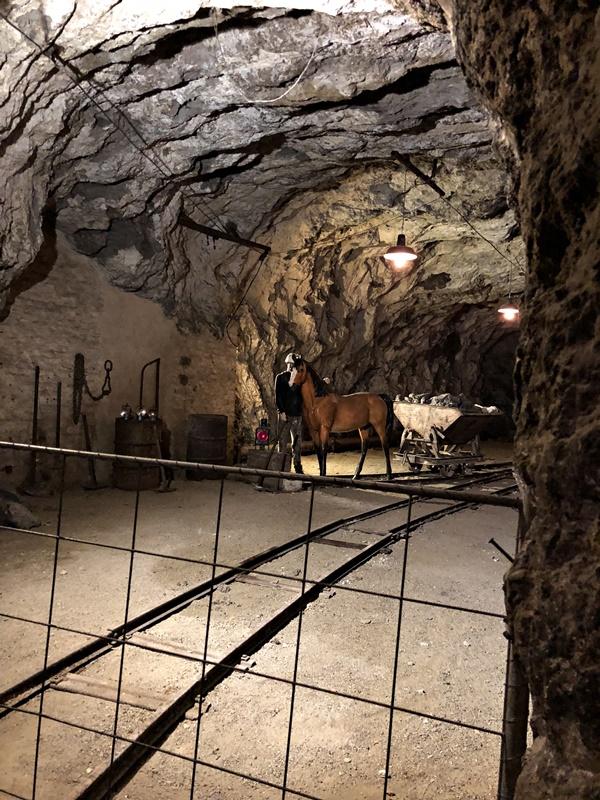 Seegrotte-pferd-800.JPG