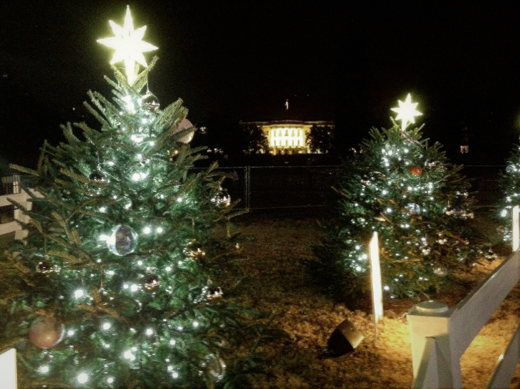 Christmas Tree and White House 2016.png