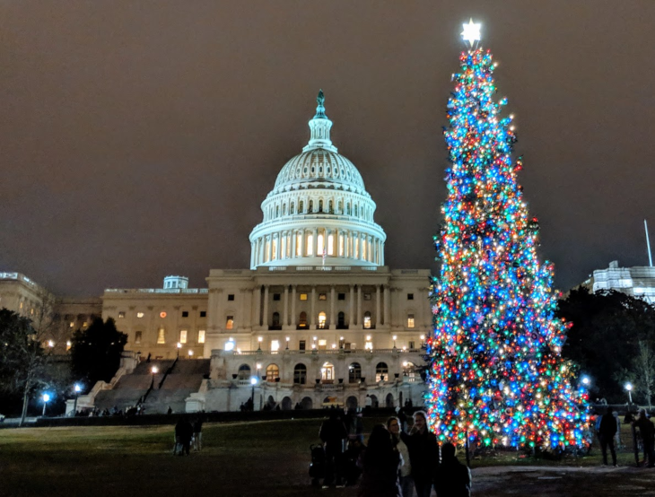 Capitol Chrismtas Tree.png