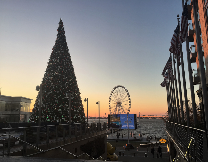 Christmas Tree in National Harbor .png