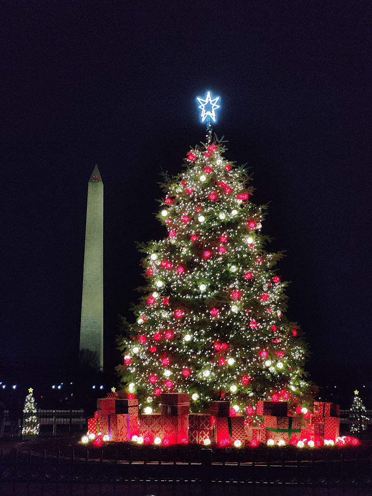 National Christmas Tree 2021.png