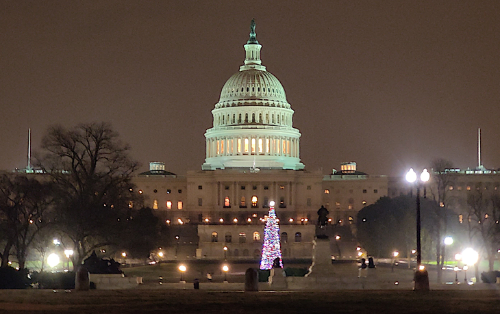 US Capitol .png