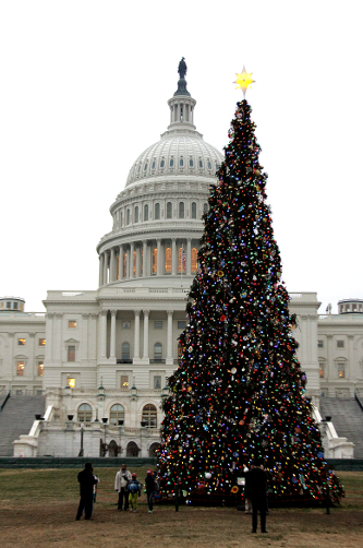 Capitol Tree.png