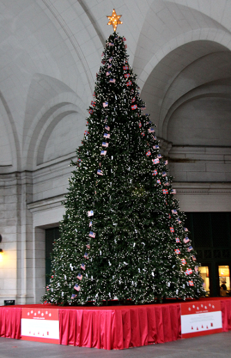 UnionStation Tree.png