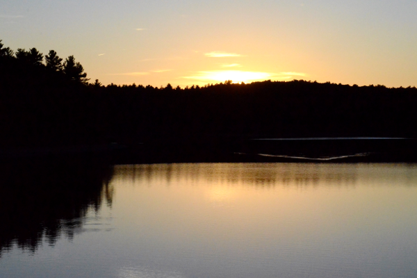 Walden Pond.png