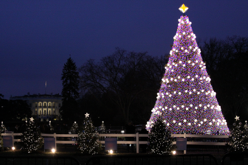 WhiteHouse Tree.png