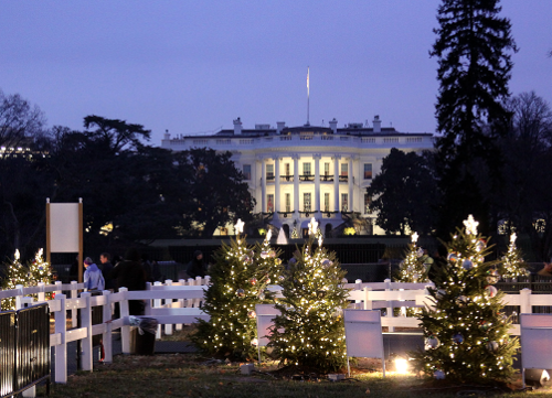 wh7 Christmas tree 2013.png