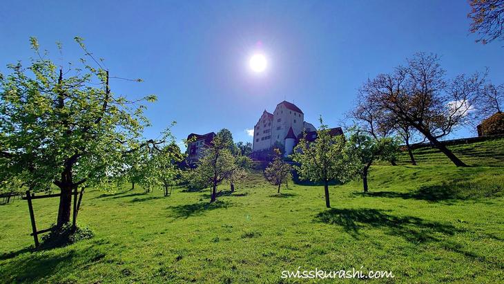 schloss-waldegg9.640×480.credit.JPG